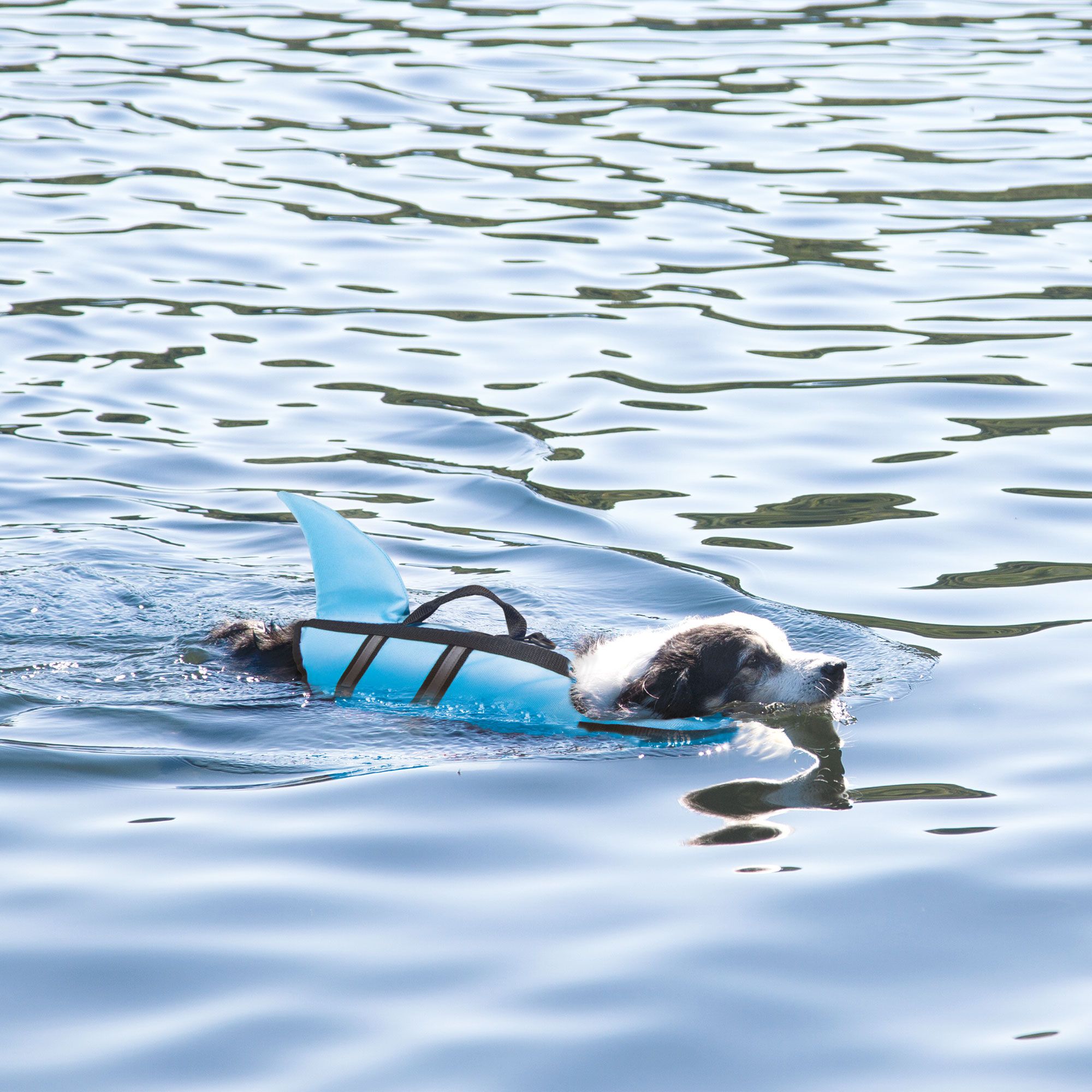 Hunde Schwimmweste SHARKY - mit Haiflosse