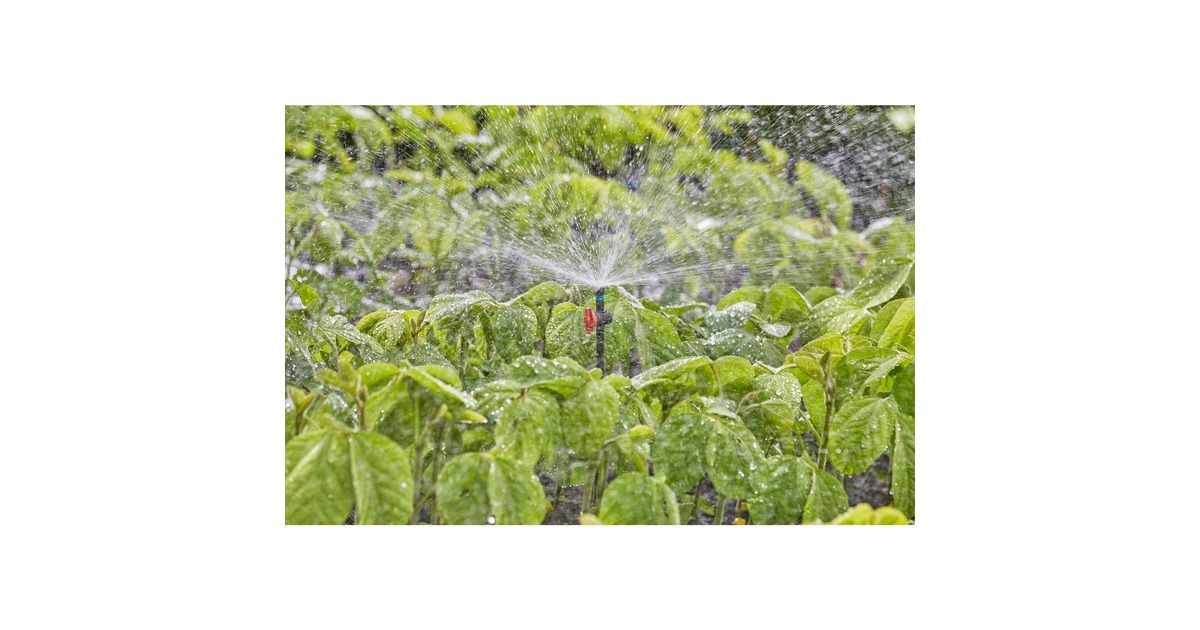 GARDENASproeier 360°  (Zwart/turquoise, 5 stuks)