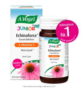 A.Vogel Echinaforce Junior met Vitamine C Kauwtabletten 80ST