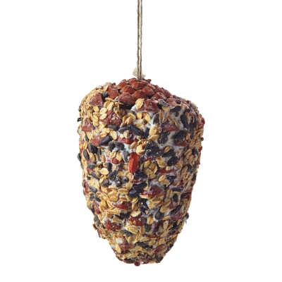 Pinienzapfen Vogelfutter