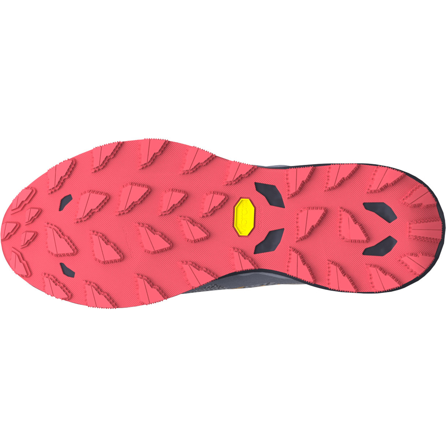 Mizuno Wave Daichi 9 Dames