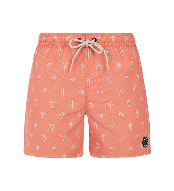 Protest Men PRTALVIS Beachshort