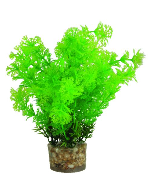 Zolux Kunstplanten Op Grind - Aquarium - Kunstplant - Groen per stuk Medium