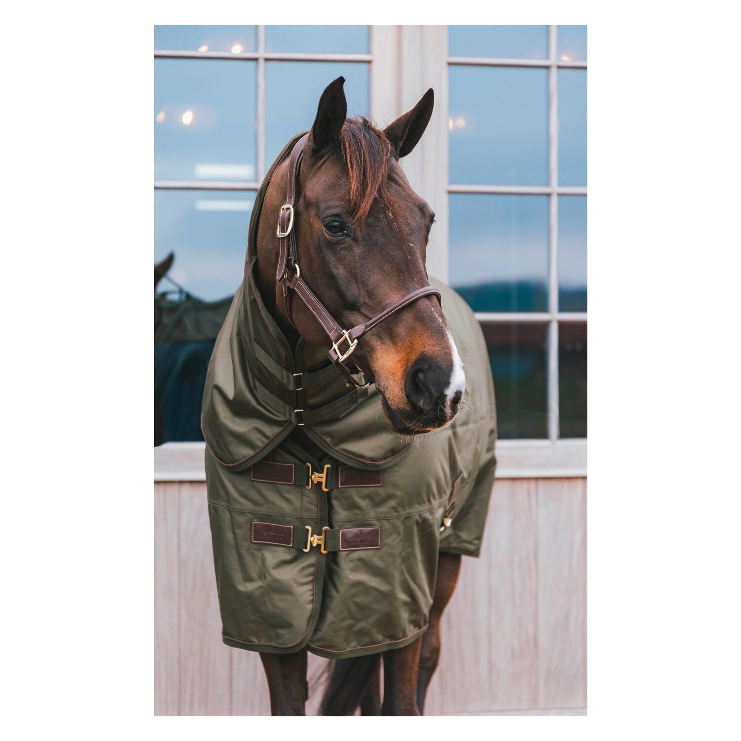 KENTUCKY Weidedecke All Weather Waterproof Pro 160 g - khaki