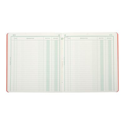 Exacompta - Registre des recettes/dépenses - 21 x 19 cm - 80 pages