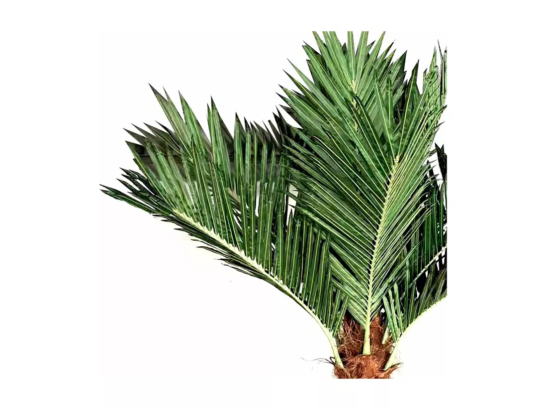 Palmier artificiel 3 m