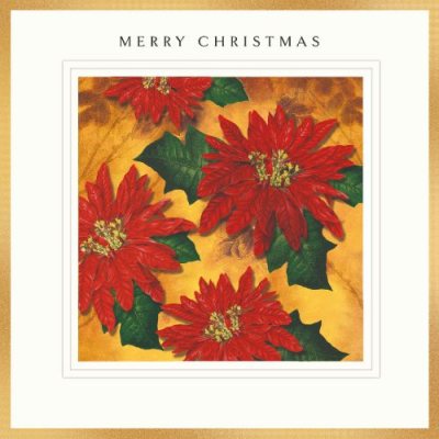 Merry Christmas Poinsettia Box X6 Cards