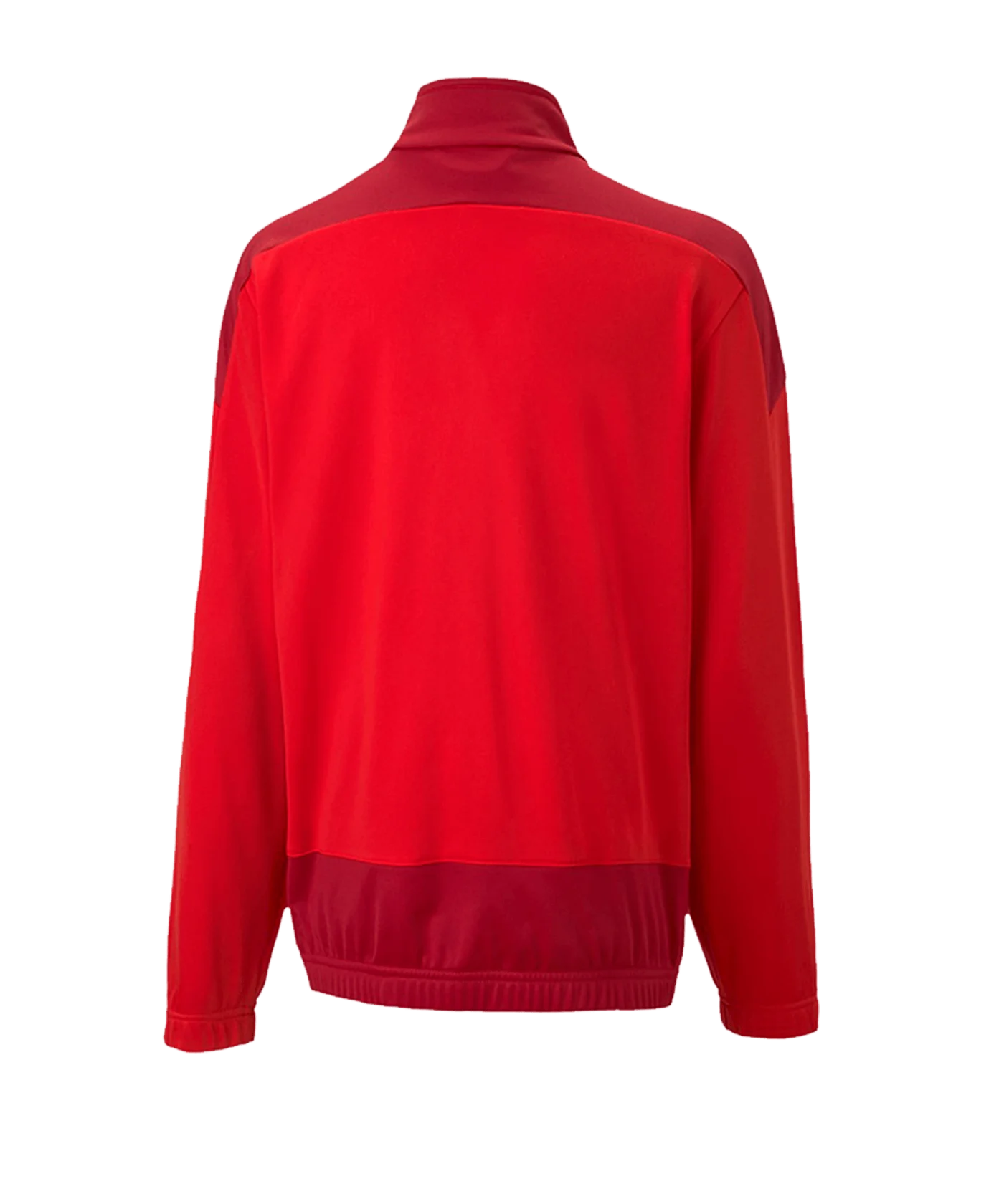 PUMA teamGOAL 23 Training Jacke Kids Rot F01