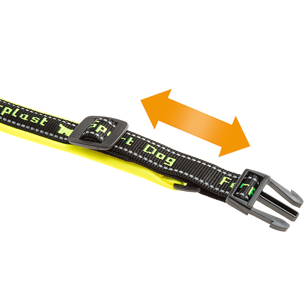Ferplast collier pour chiens sport dog c15/35, poignée rembourée, ceinture réfléchissante, étiquette porte-nom, a: 25÷35 cm - b: