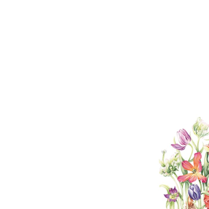 Janneke Brinkman | Verjaardagskaart | Fleurig