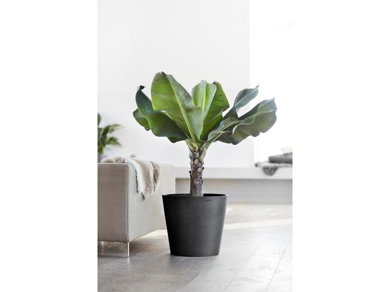 Ecopots Pflanzentopf Amsterdam 40, Dunkelgrau Robuster und langlebiger Blumentopf