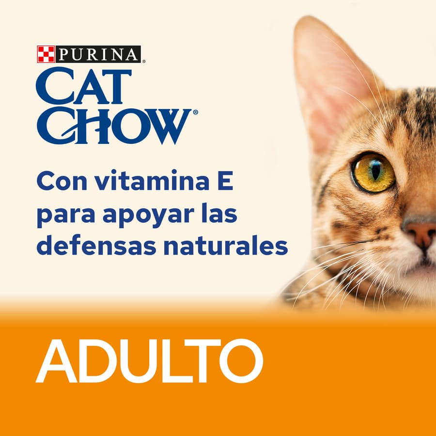 Salmão Cat Chow em Gelatina