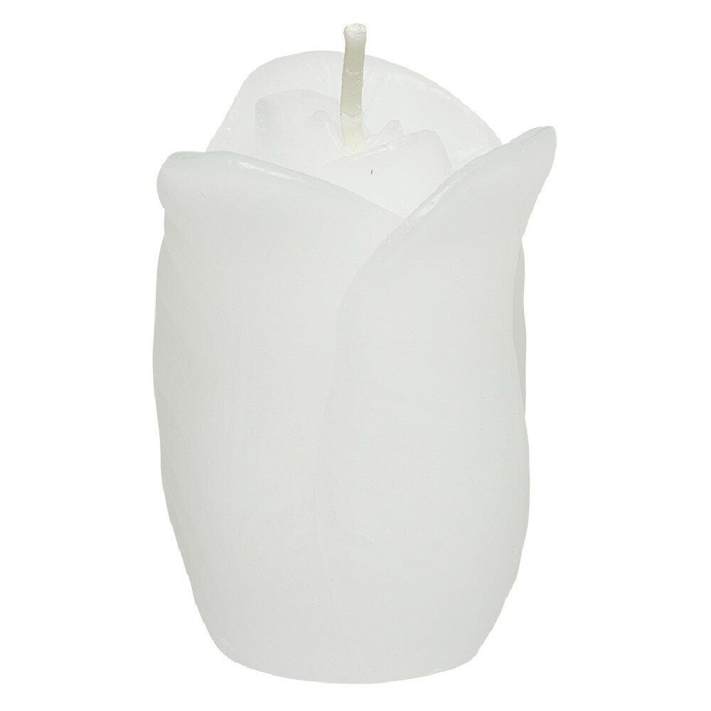 Bougie parfumée forme tulipe  ø4 xH6 cm