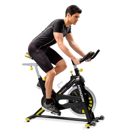Bicicleta ergométrica Horizon Gr3