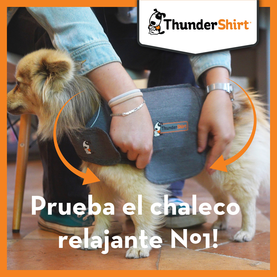Camiseta antiestresse relaxante Thundershirt para cães