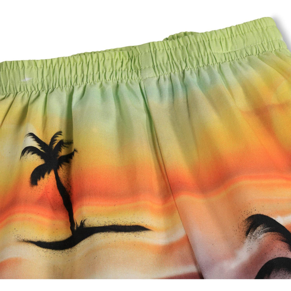 Køb Molo Airbrush Beach Solar Shorts