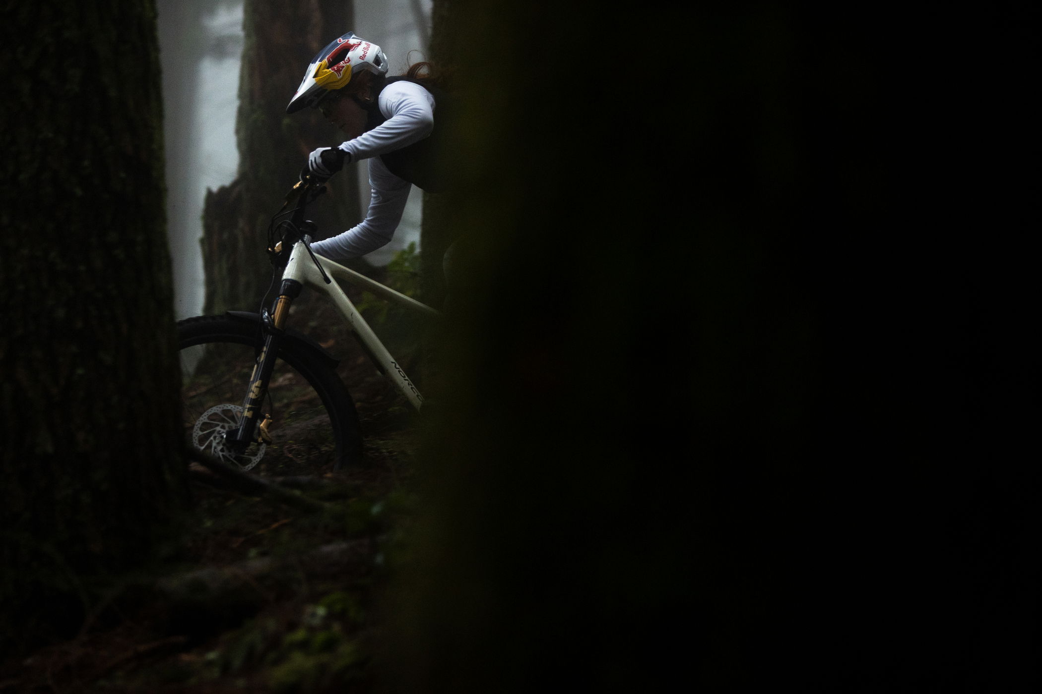 Fox Racing Shox Fox Float 36 Performance 29