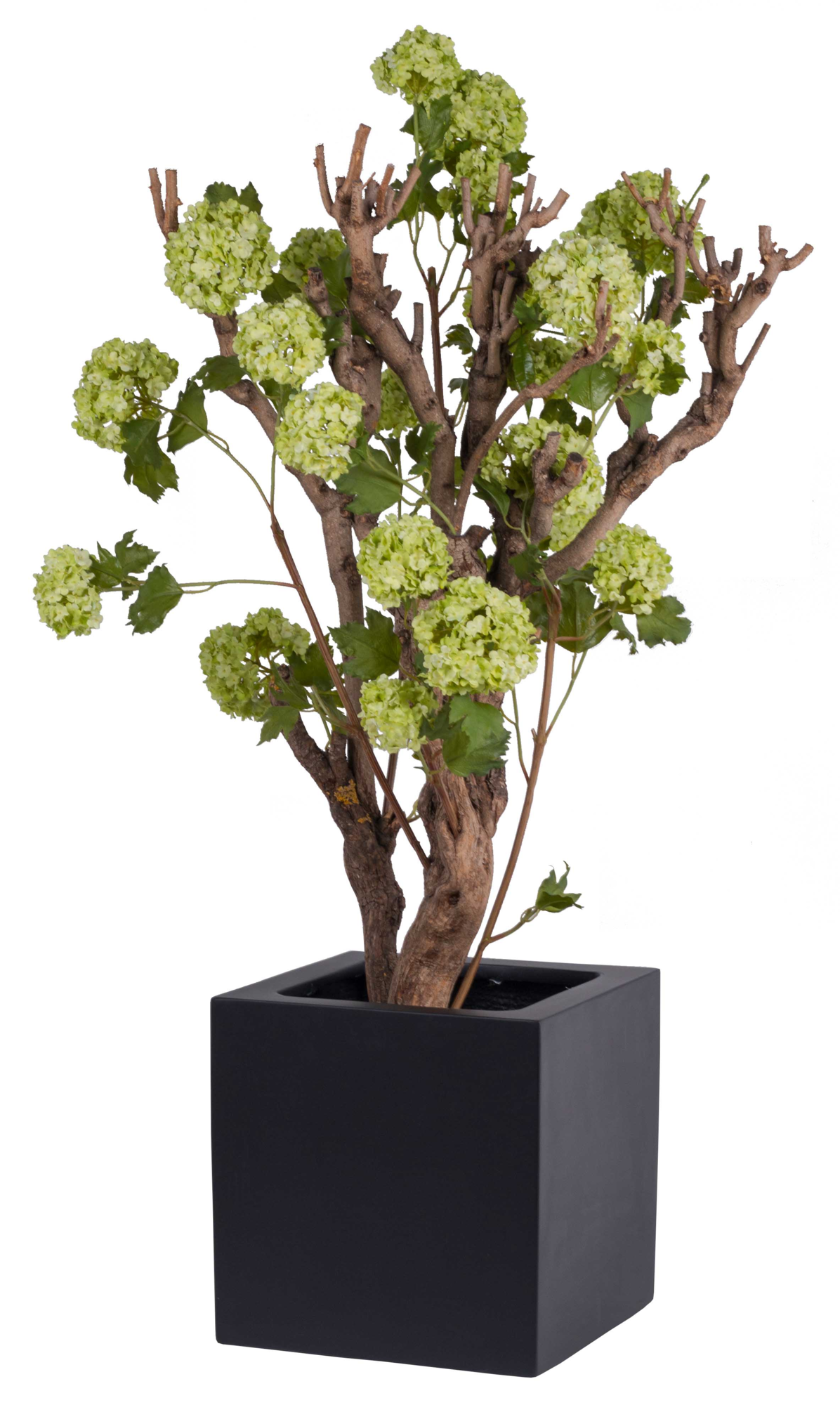 Plantenpot El Salvador black L40 x B40 x H40cm