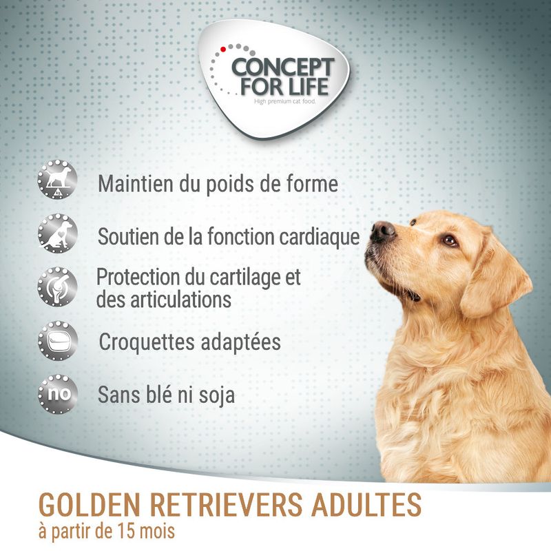 Concept for Life Golden Retriever Adult