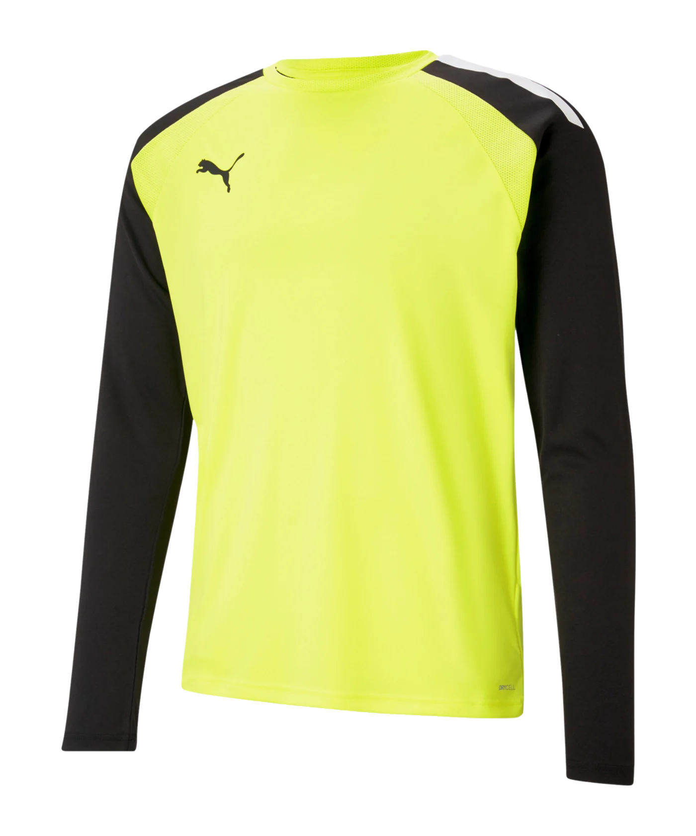 PUMA teamPACER Torwarttrikot langarm Kids F42