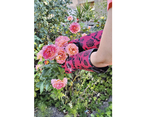 Tuinhandschoen KinetiXx X-Rose Garden, maat M