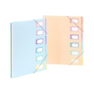 Viquel Rainbow Pastel - Trieur extensible 6 positions - disponible dans différentes couleurs