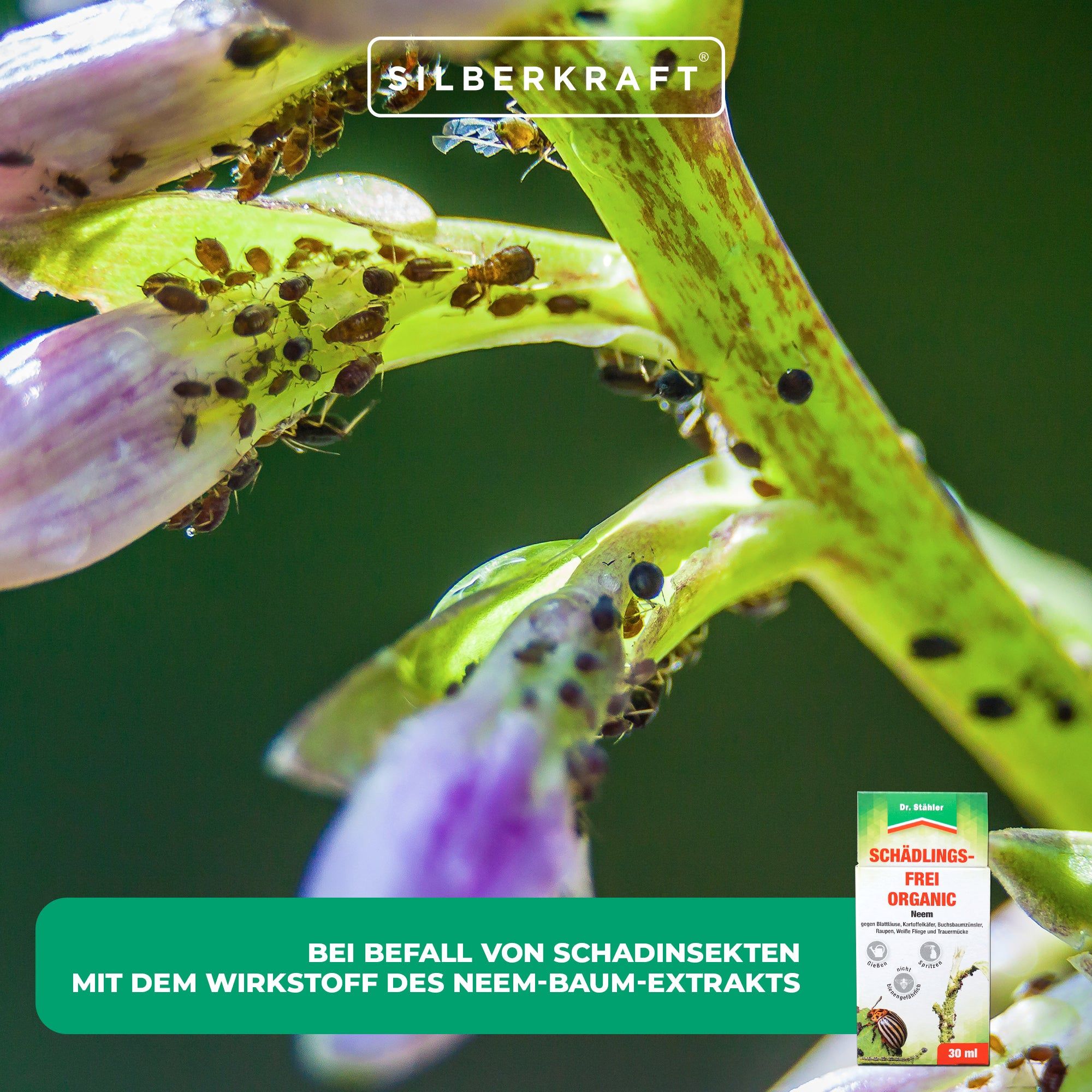 SILBERKRAFT Schädlingsfrei-Organic