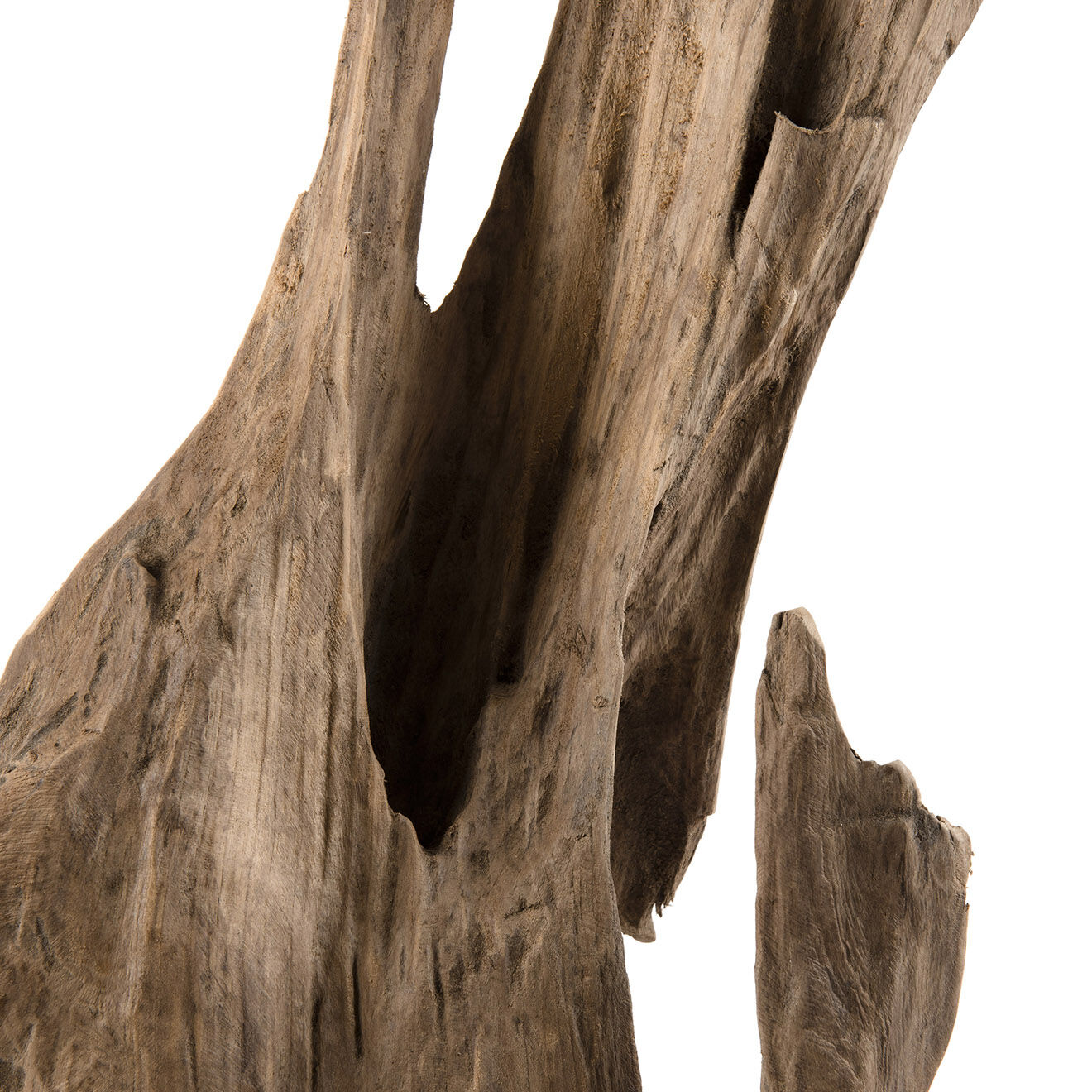 Macabane Sculpture branche M Clara teck - 26x22x106 cm