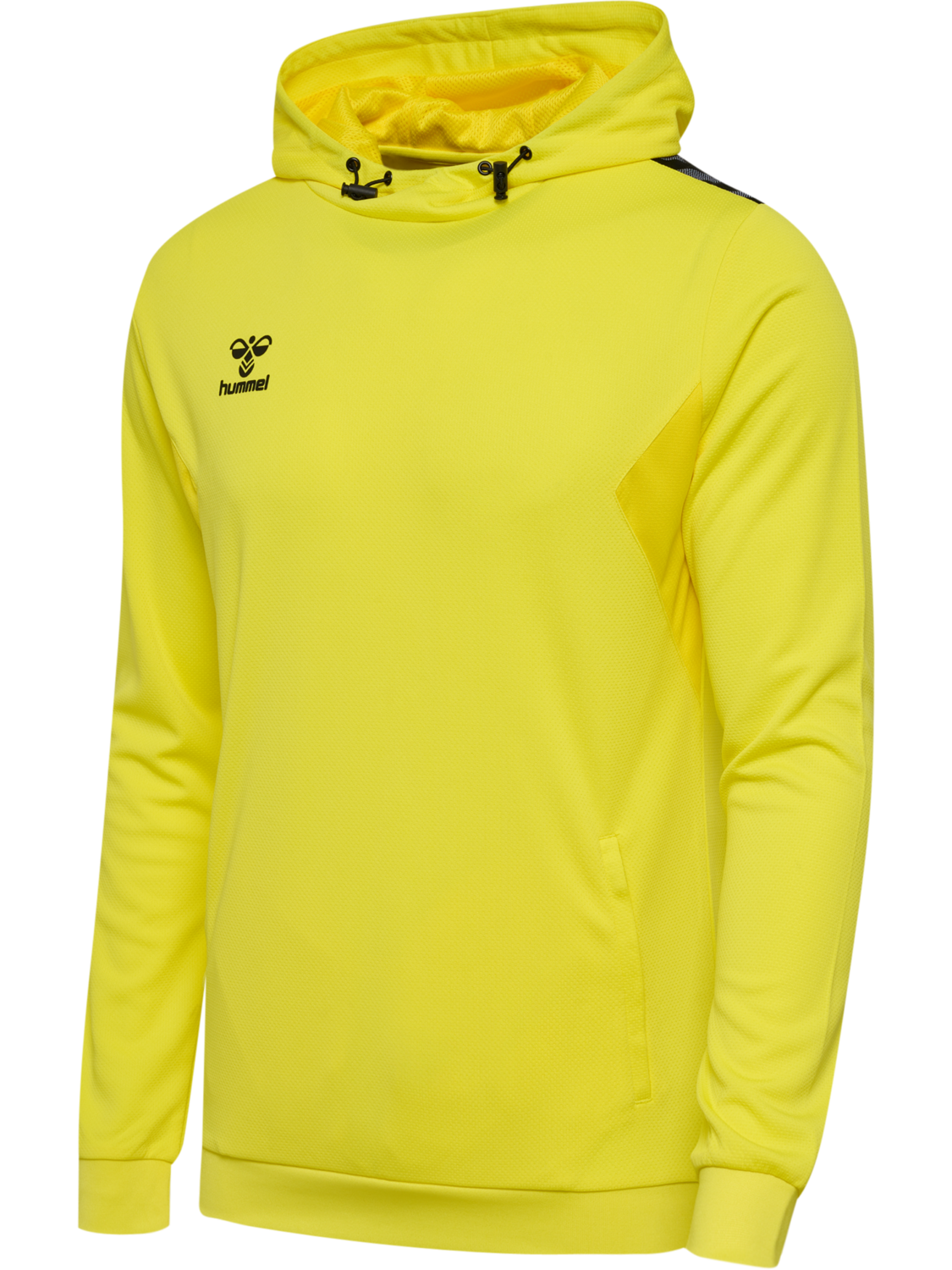 hmlAUTHENTIC PL HOODIE