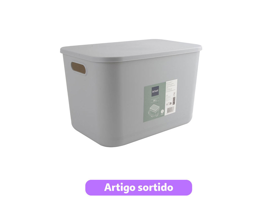 CAIXA ARRUMAÇÃO PLÁSTICO ACTUEL COR PASTEL 37X26X24CM CORES SORTIDAS