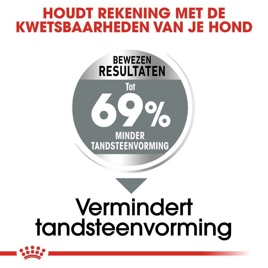 Royal Canin Dental Care Mini - Hondenvoer - 1 Kilogram - gevogelte