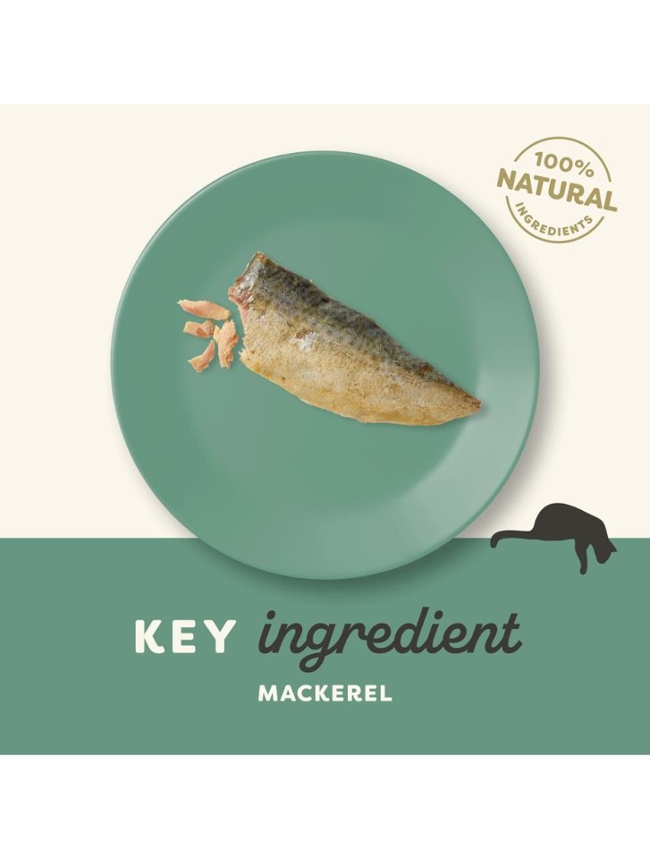 Applaws - Hel Makrelfilet - 30g