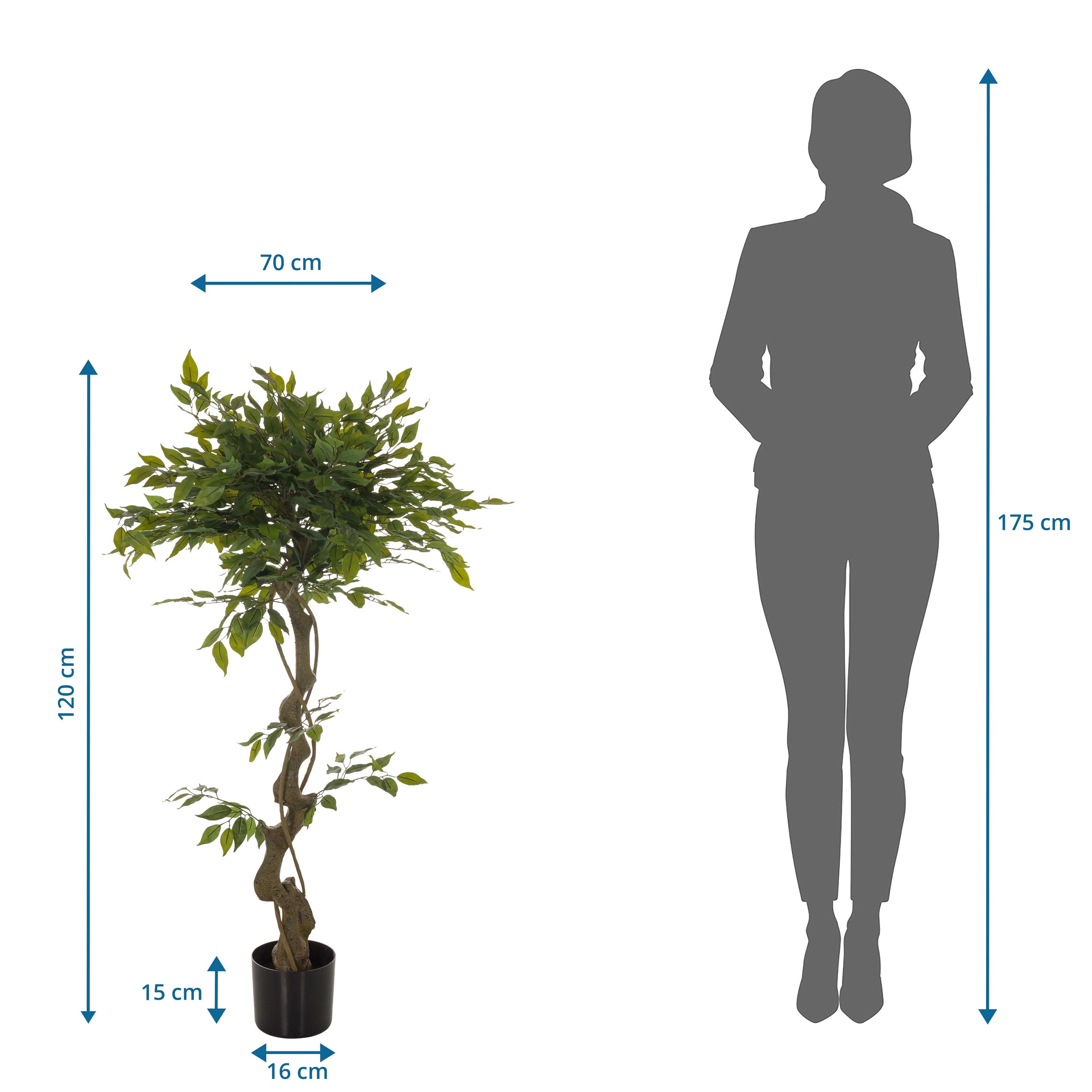 Kunstpflanze FICUS I Kunststoff, Stoff hjh OFFICE