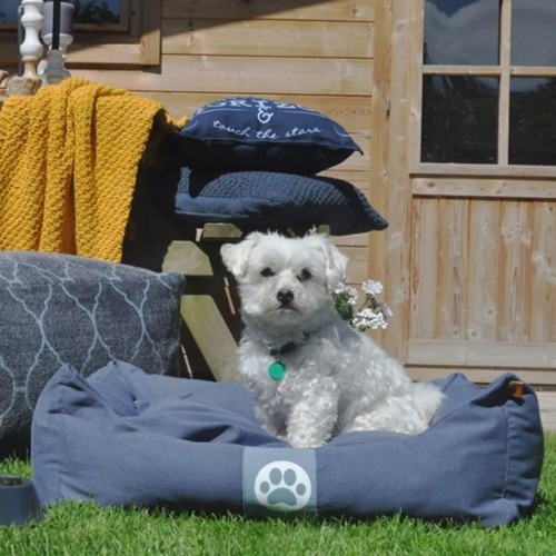Cama de almofada azul em forma de cachorro