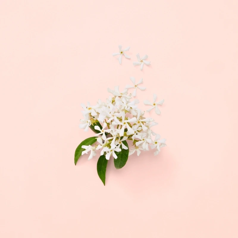 Gucci Bloom EDP 30 ml