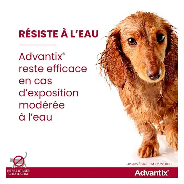 Advantix Solução para Tratamento de Pulgas e Carrapatos em Cães de Porte Médio, 10-25kg, 4 pipetas