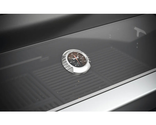 Tenneker® Halo TG 4B Gasgrill, 103,7 x 61 x 56,2 cm, 4-pits inbouwgasgrill, gietijzeren rooster, platformsysteem, glazen inzetstuk in het deksel