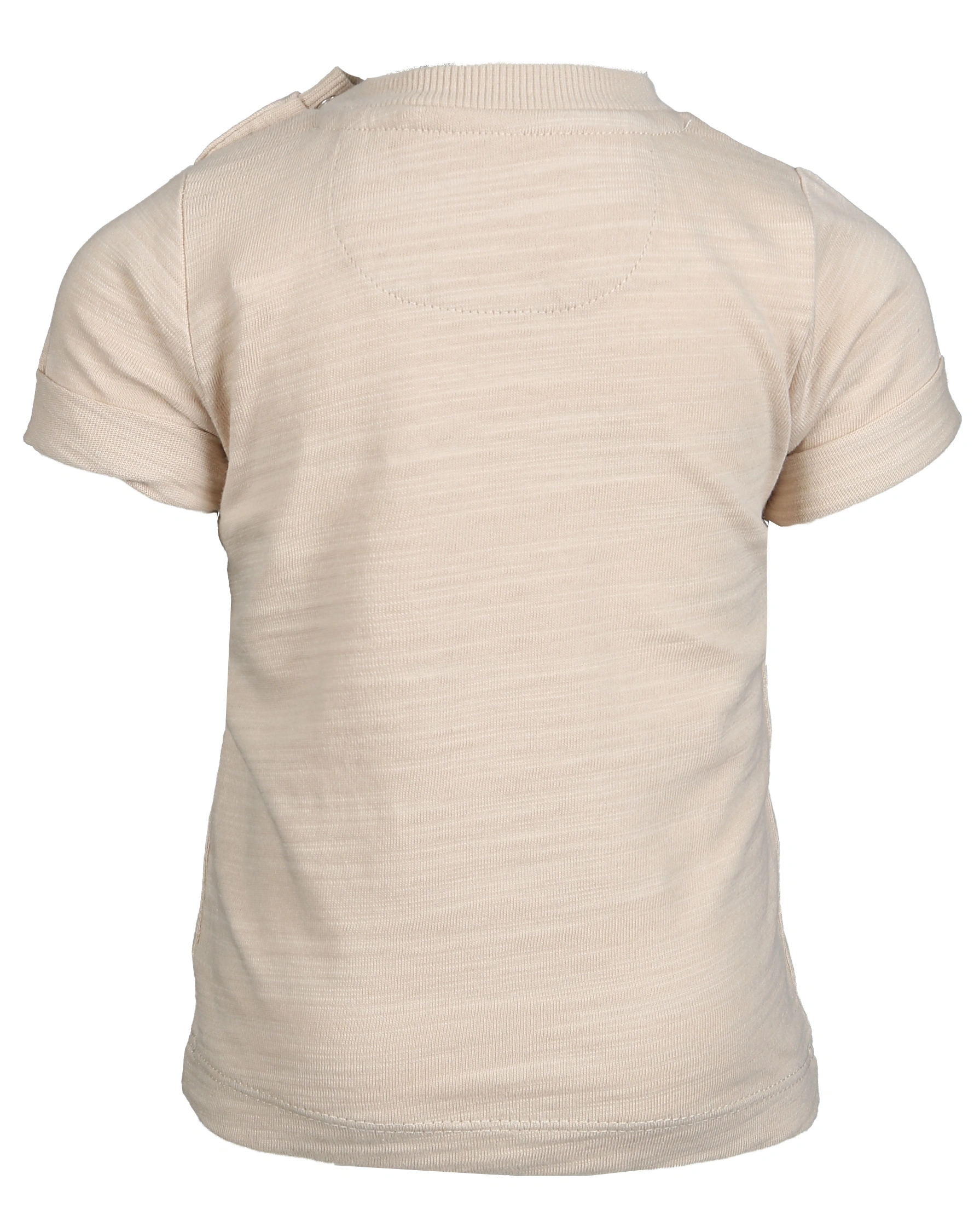 T-Shirt SCHILDKRÖTE in cement