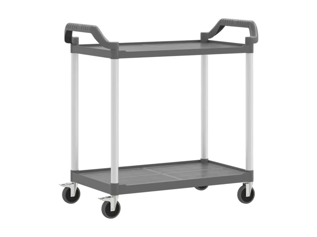 Chariot à 2 niveaux gris 99x50x97 cm aluminium