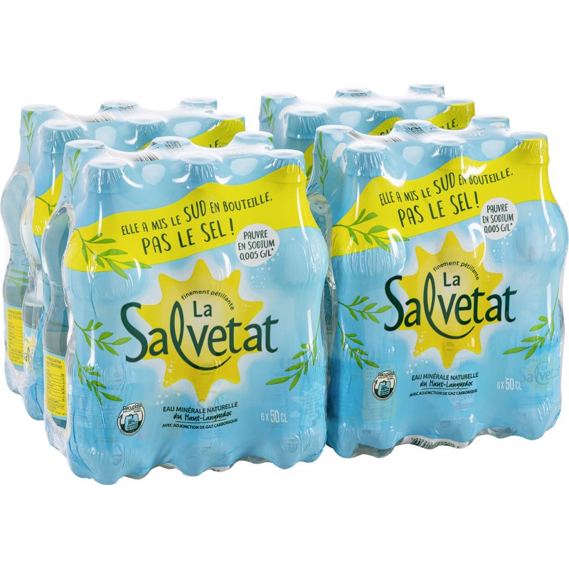Eau gazeuse Salvetat 50 cl - 24 bouteilles