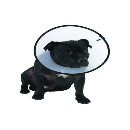 Coleira protetora em forma de cone para cães da MDC Pet Products