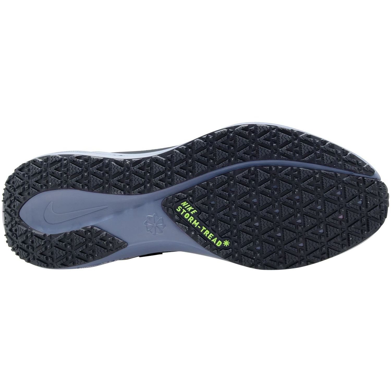 NikeNike Pegasus 41 GORE-TEX Women