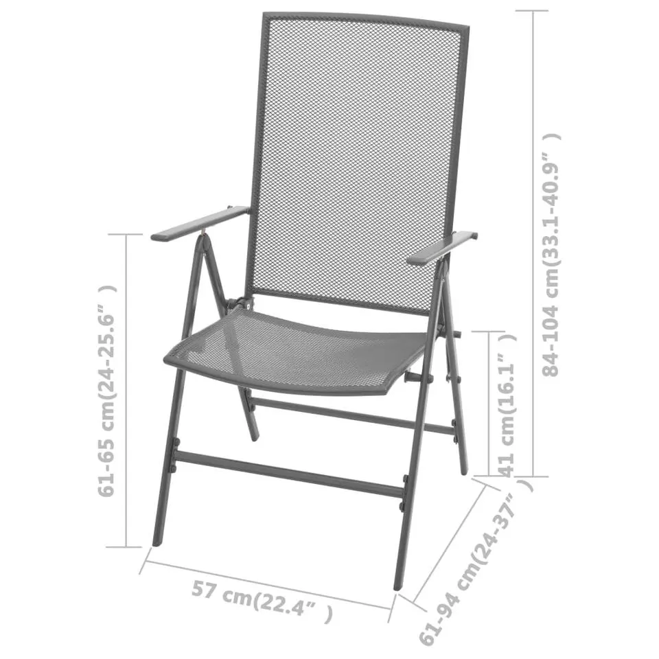 vidaXL - Tuinstoelen - Antraciet - Metaal - 2 stuks - Stapelbaar