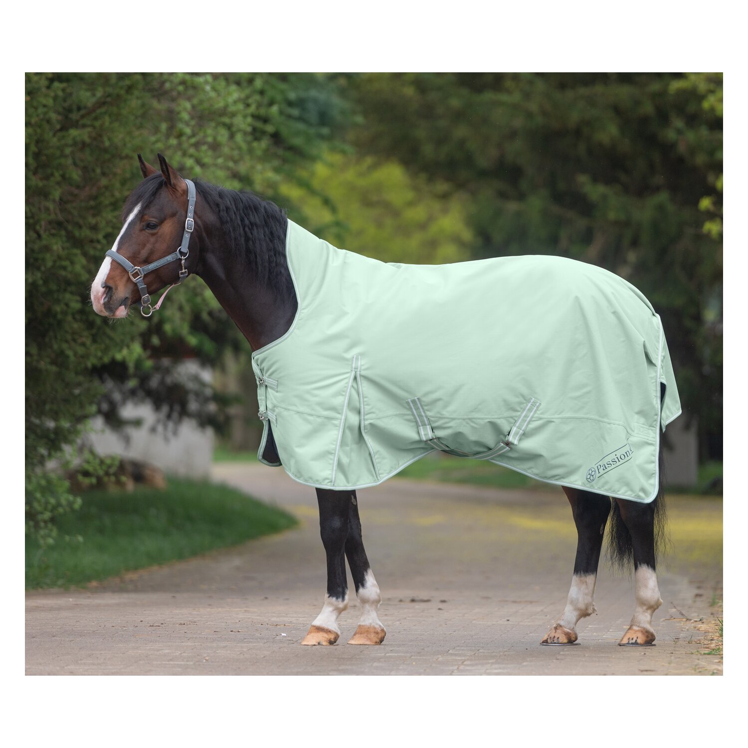 Passion 4Q Outdoordecke - light aqua
