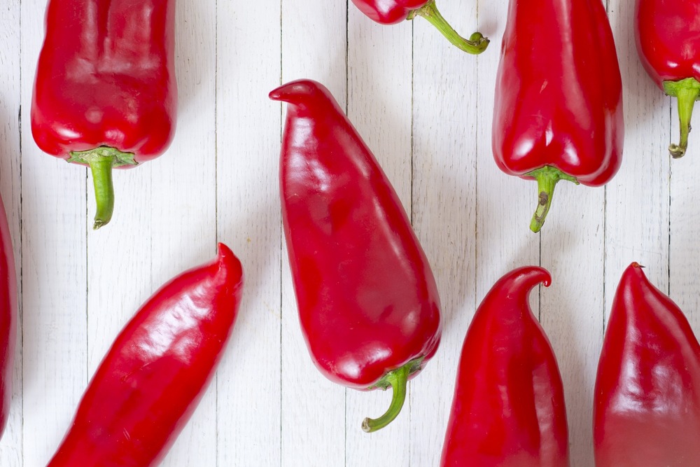 Jardin dans le sac - bio - poivron - red marconi - 20 graines - capsicum annuum
