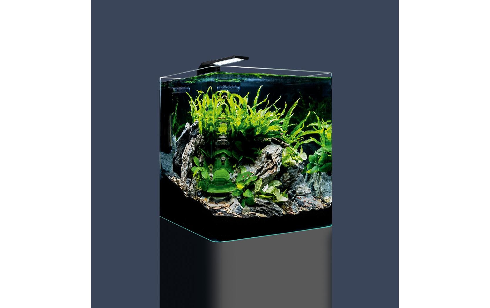 Aquarium Nano Cube Basic, 30 l<br>Mini Aquarium Set