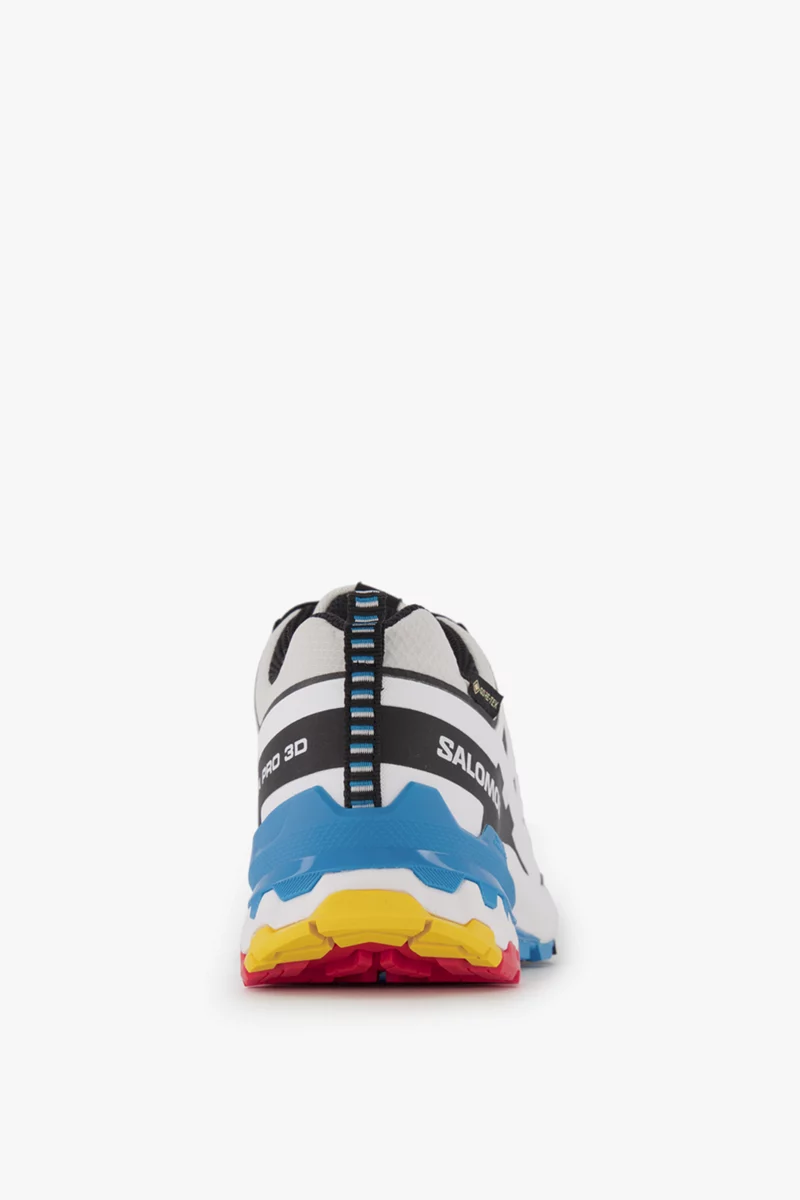 Salomon XA Pro 3D V9 Gore-Tex® Damen Trekkingschuh