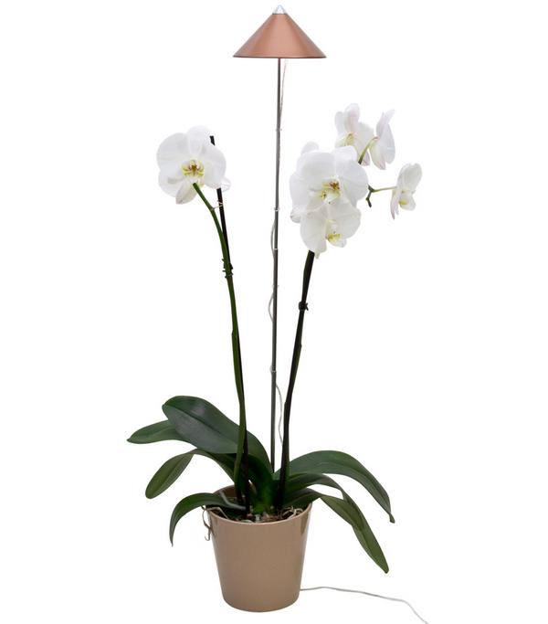 Venso LED-Pflanzenlampe