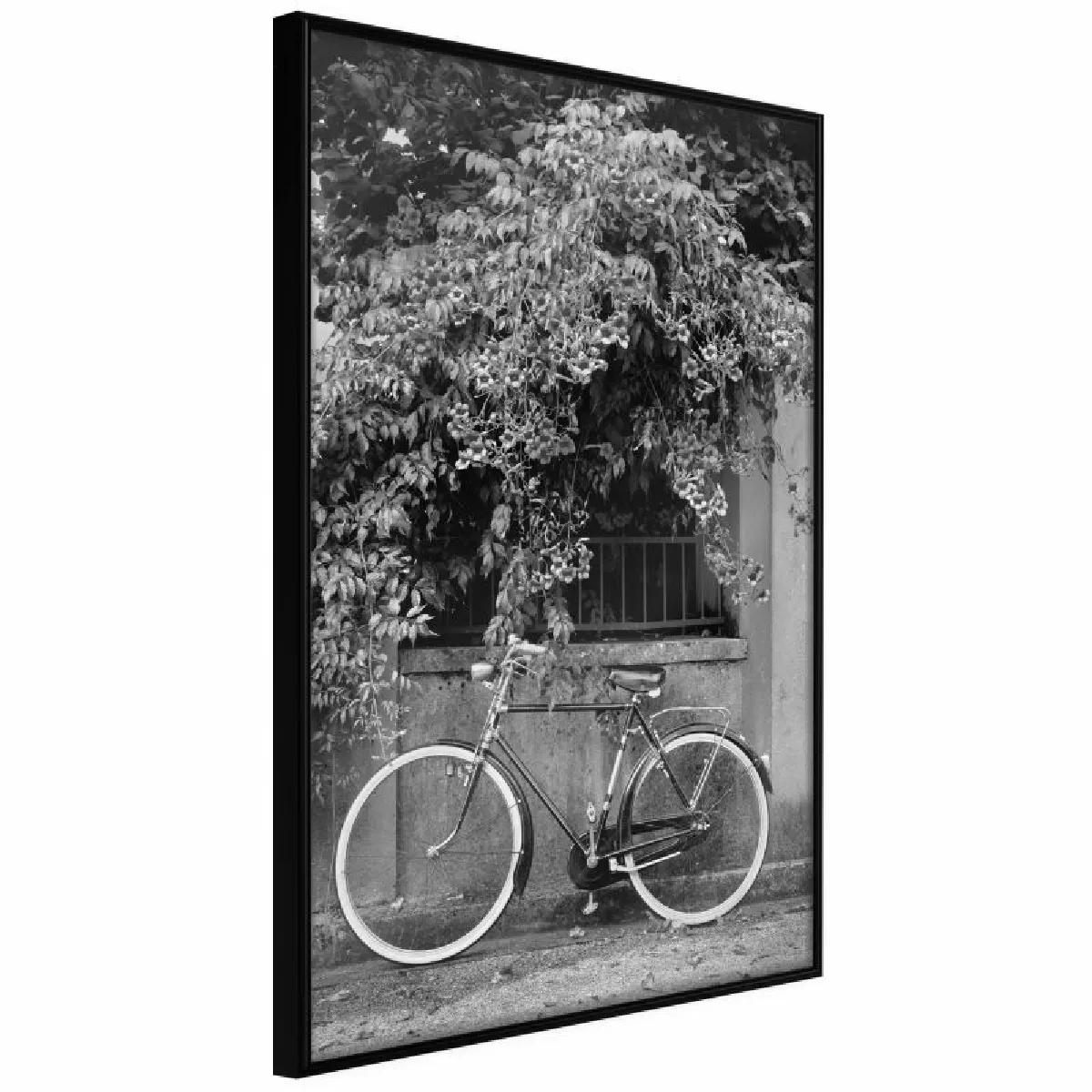 Paris Prix Affiche Encadrée Bicycle White Tires