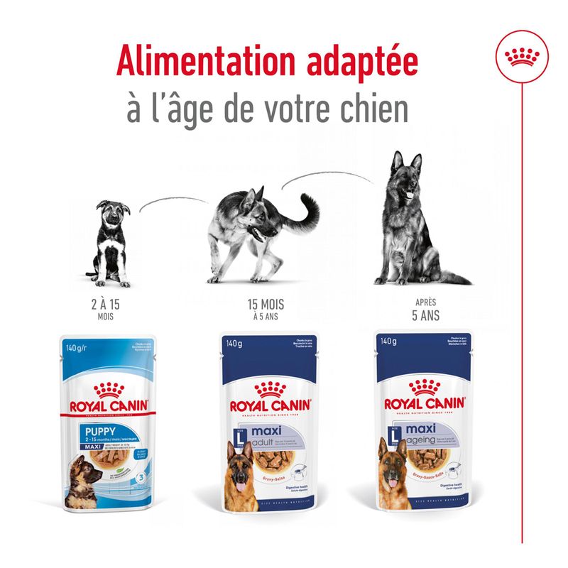 Royal Canin Maxi Adult en sauce